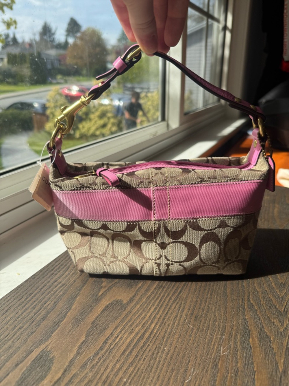 Coach Signature Pink Stripe Jacquard Bag
